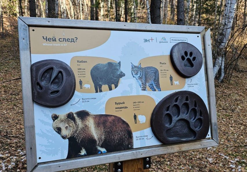 Туризм идёт в рост