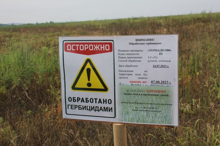 На территории Иркутского района идёт работа по выявлению и уничтожению очагов произрастания дикорастущей конопли
