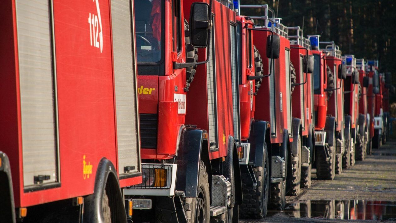 Около Плишкино 20 марта пройдут пожарные учения