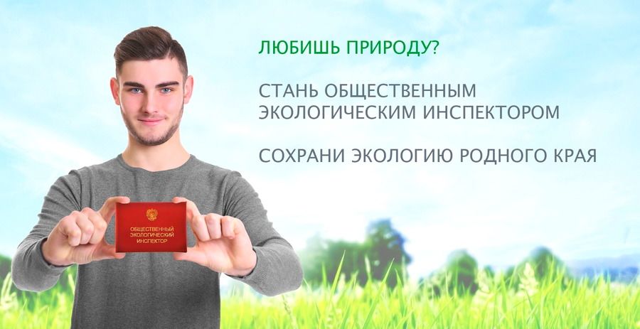 Лес под защитой