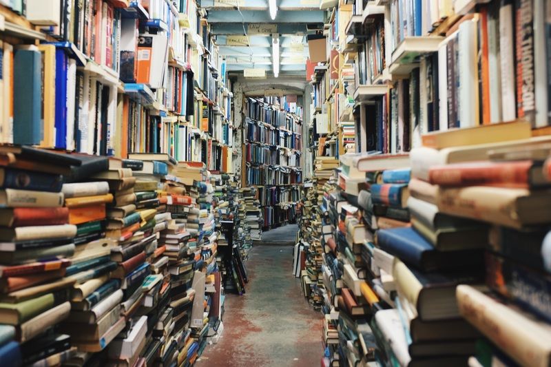 Библиоканикулы, или лето с книгой 2019