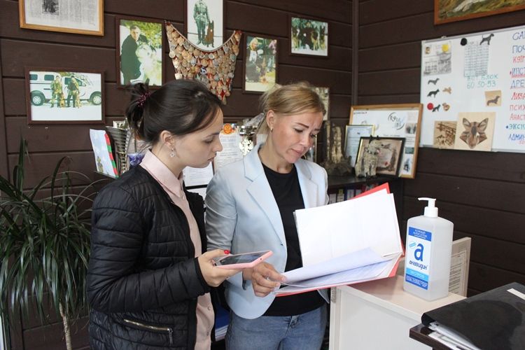 В Иркутском районе сотрудники КУМИ проверили исполнение контракта по отлову и содержанию собак