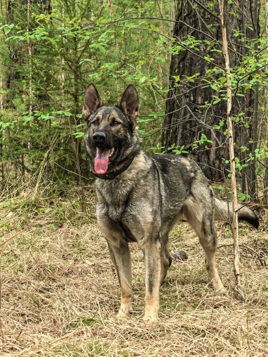 Фото