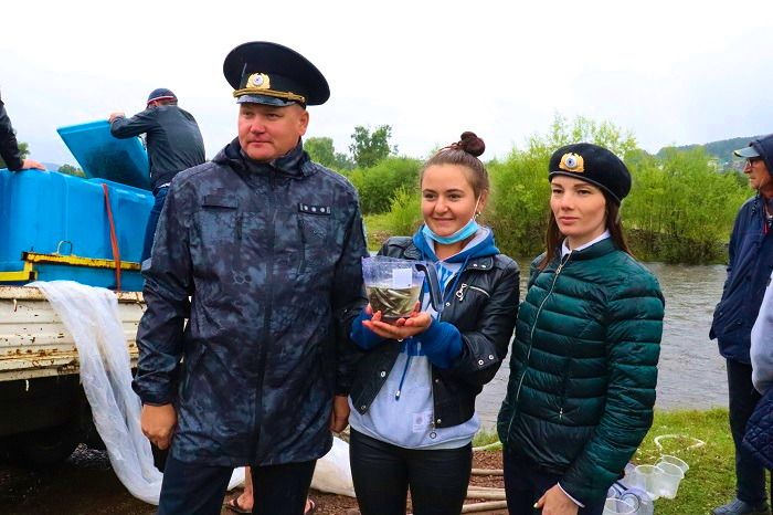 350 тысяч мальков хариуса выпустили в устье реки Большая в поселке Большая речка