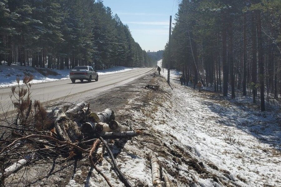 Первую в 2024 году уборку леса от валежника провели вдоль Байкальского тракта