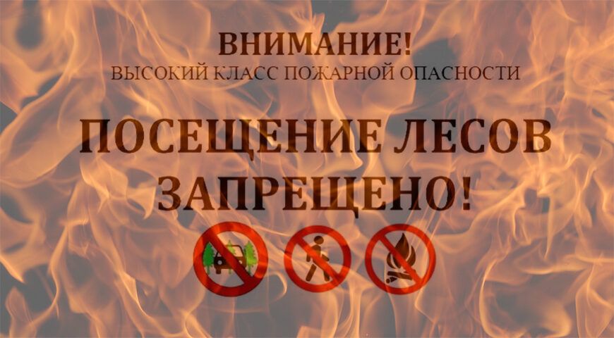 Выдача разрешений на посещение Прибайкальского национального парка временна приостановлена