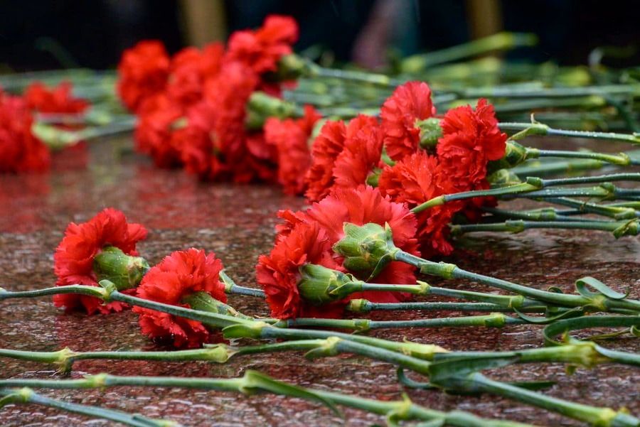 Солдат войны не выбирает