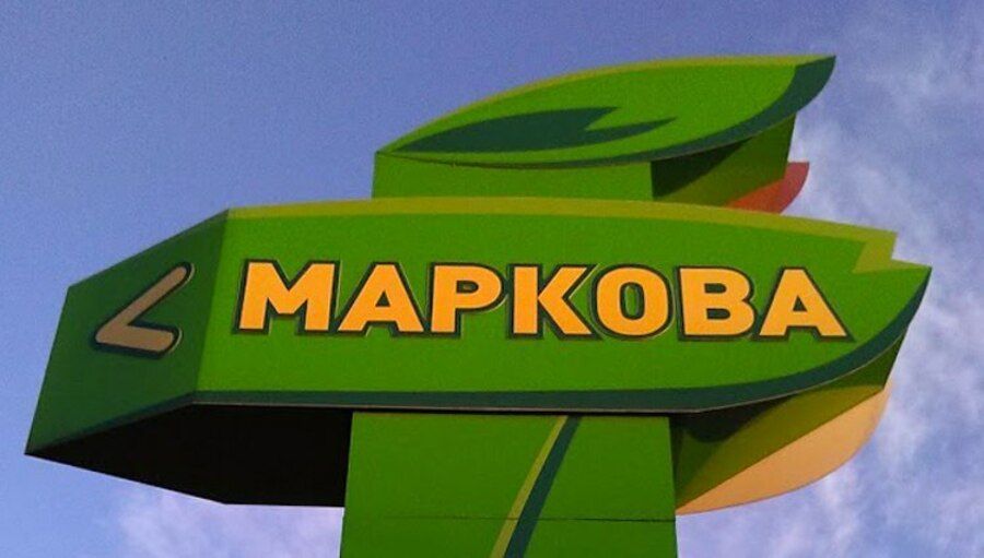 Вырубка леса приостановлена в Иркутском районе