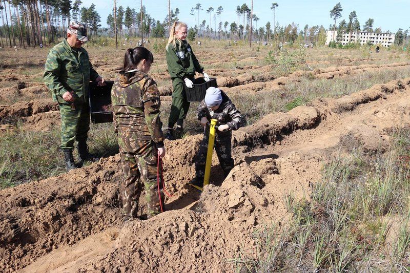 Пять тысяч сеянцев сосны высадили в окрестностях посёлка Усть-Балей