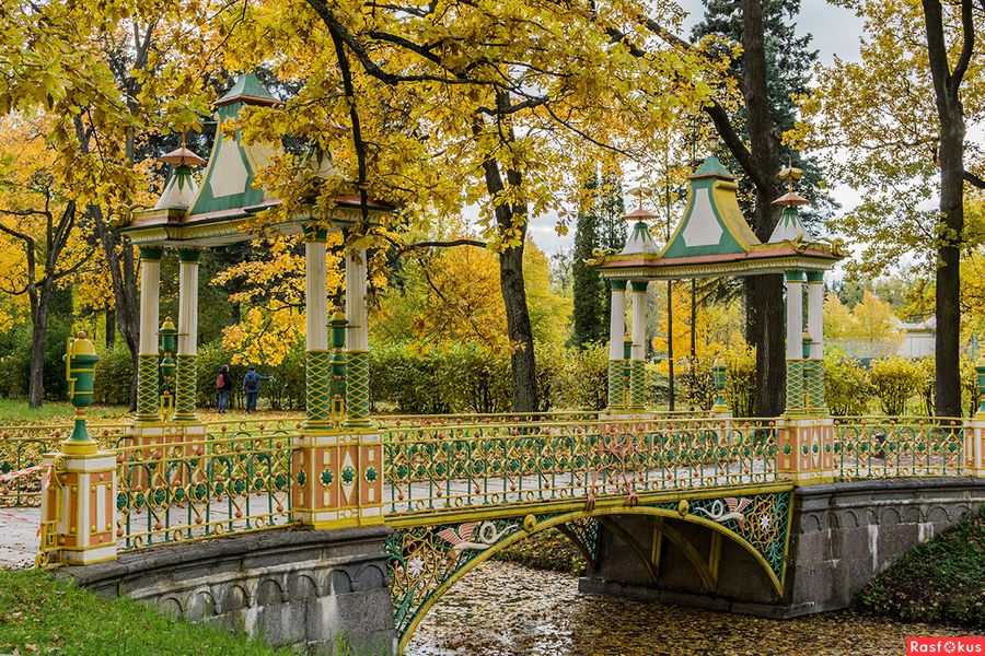 Пять веков у школьной доски