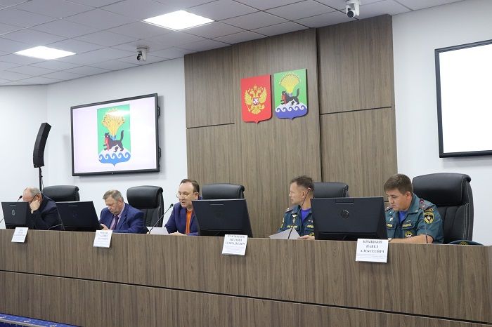 КЧС Иркутского района: возбуждено два уголовных дела по пожарам в лесу