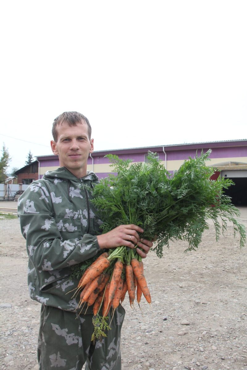Гордиться урожаем