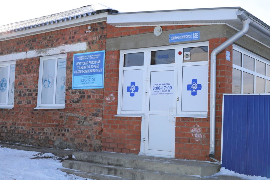 С заботой о здоровье животных