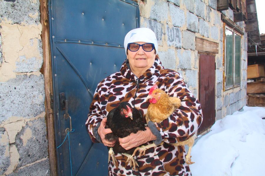 Птичье дело