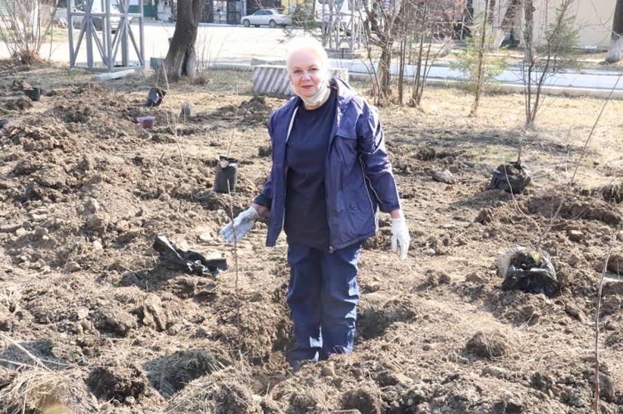 В поселке Молодежный высадили 75 саженцев яблони к юбилею Победы