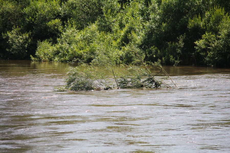 Повышение уровня воды в реках Ия, Иркут, Ока и их притоках прогнозируют метеорологи