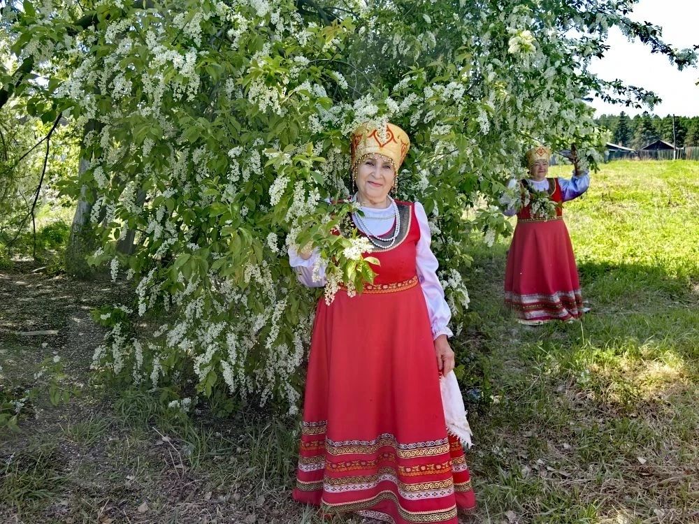 Любовь, труд и полвека у школьной доски