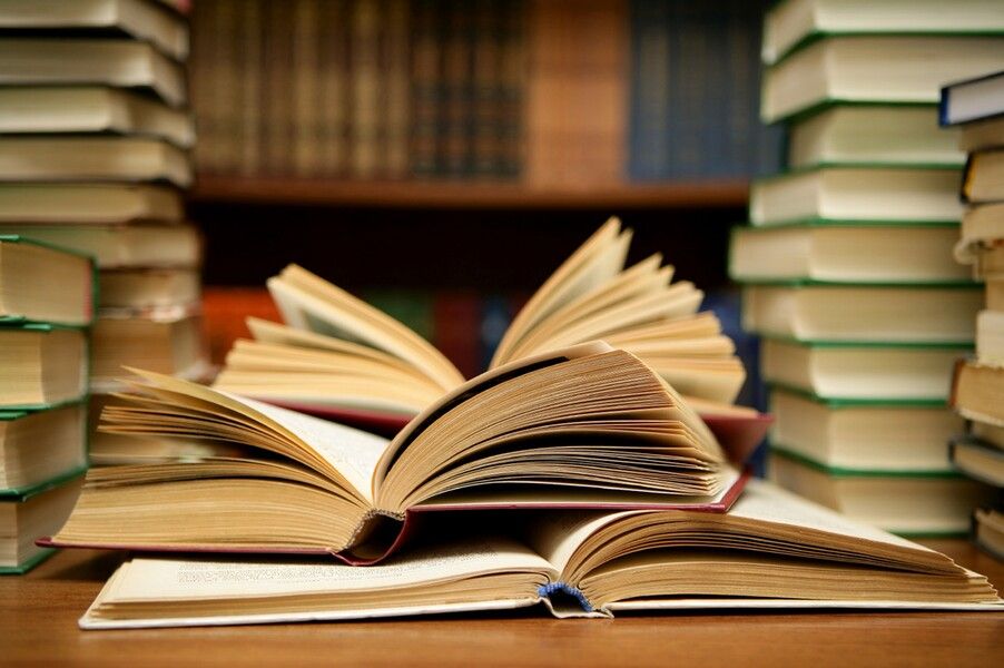 «Книги Донбассу»