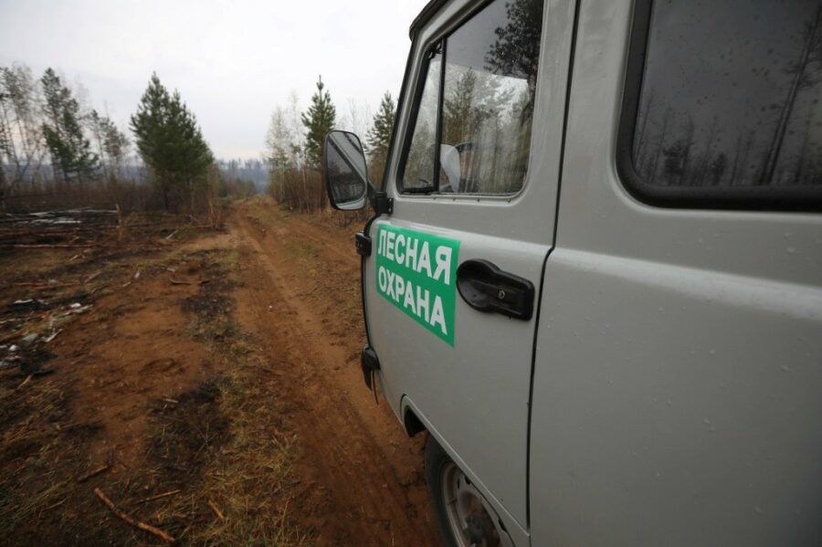 Пожар в «Заповедном Прибайкалье» в районе Большого Голоустного потушен