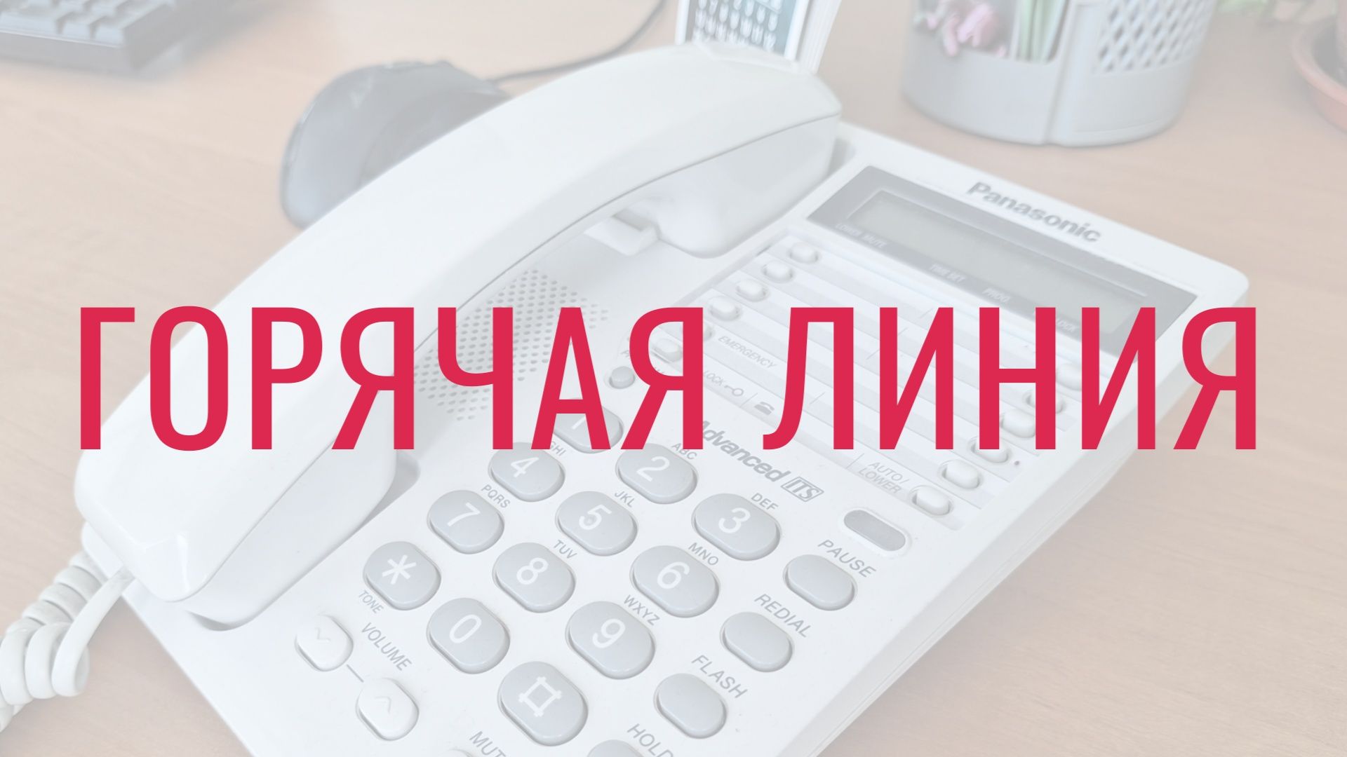 Горячая линия выборов